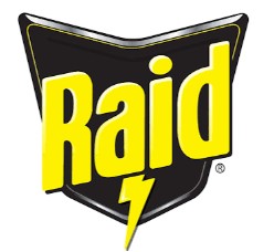Logo Raid